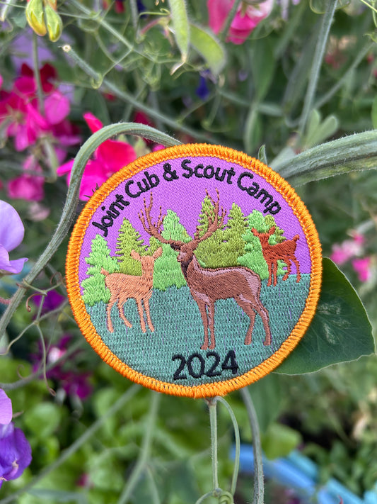 Joint Cub & Scout Camp